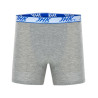 Grey Melange
